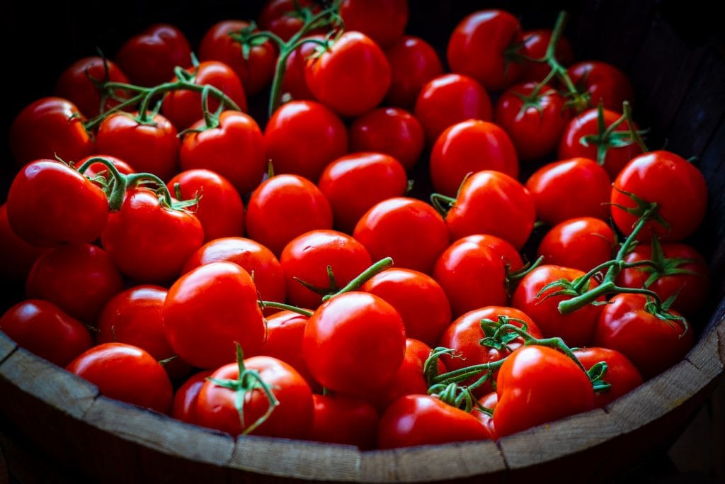 Waarom tomaten, ook in bewerkte vorm, zo gezond zijn