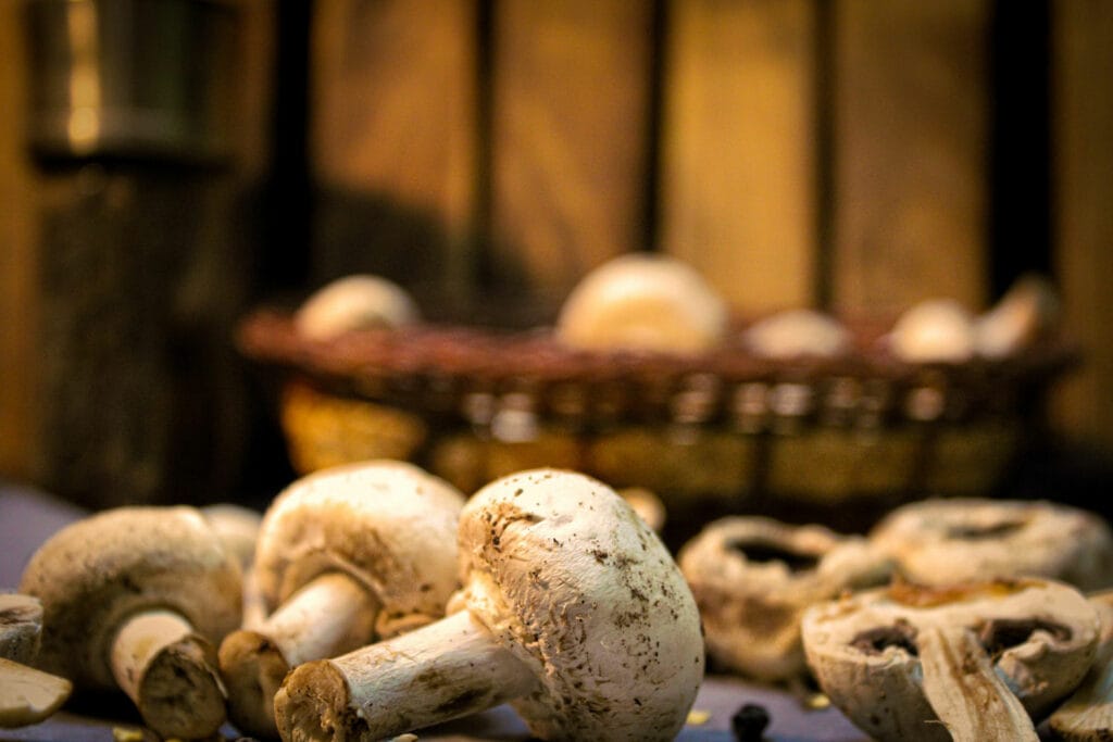 Paddenstoelen; niet alleen lekker maar ook gezond