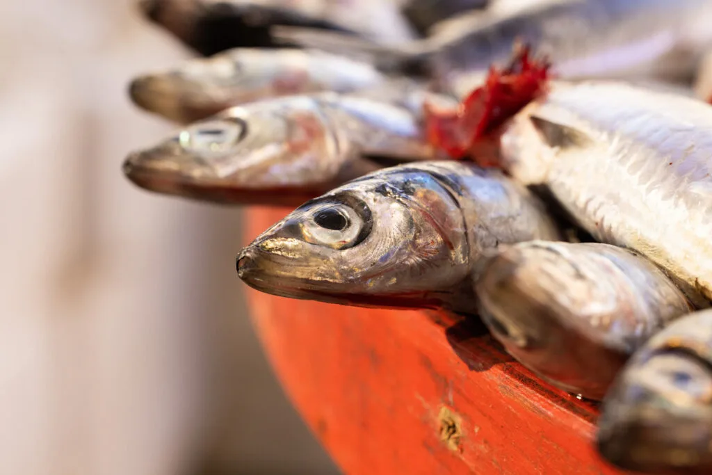 Omega 3 en de gezondheidsvoordelen